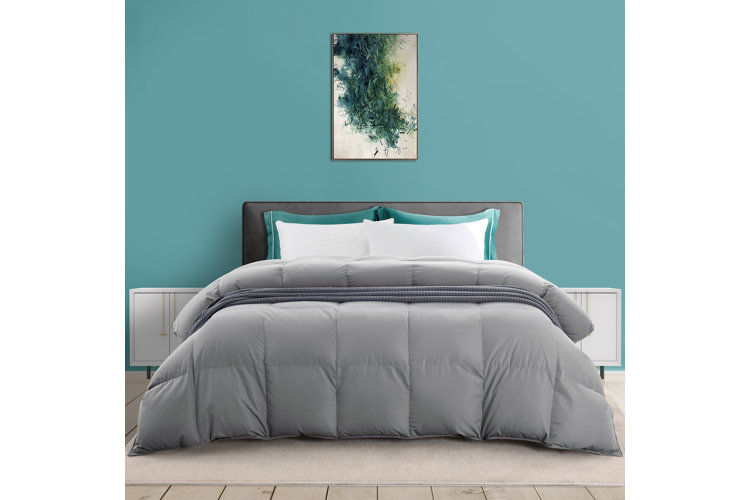 Goose Down vs. Duck Down Which Type of Bedding Is Best? Wayfair